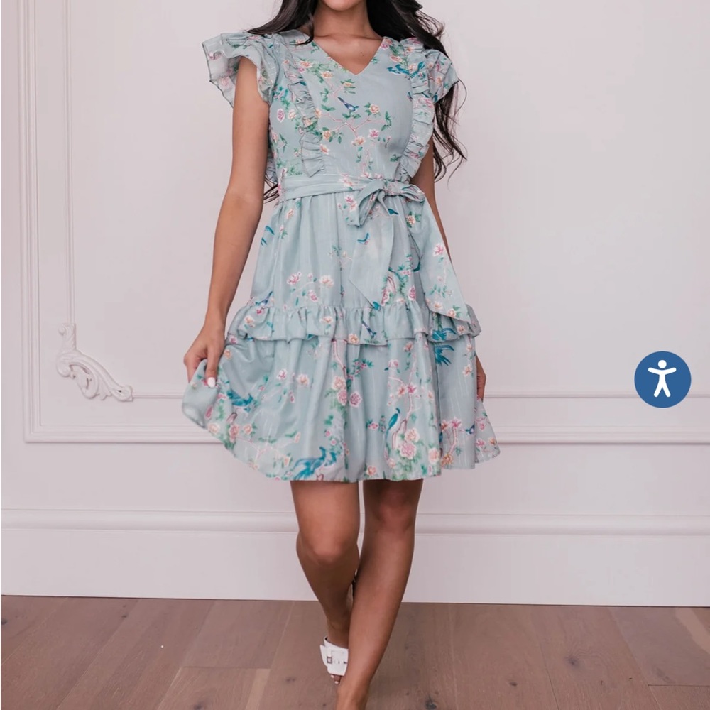 JessaKae XSmall perfect dress with Birds.